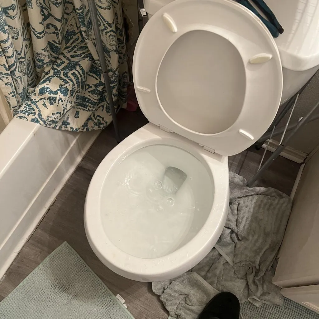 overflowing toilet